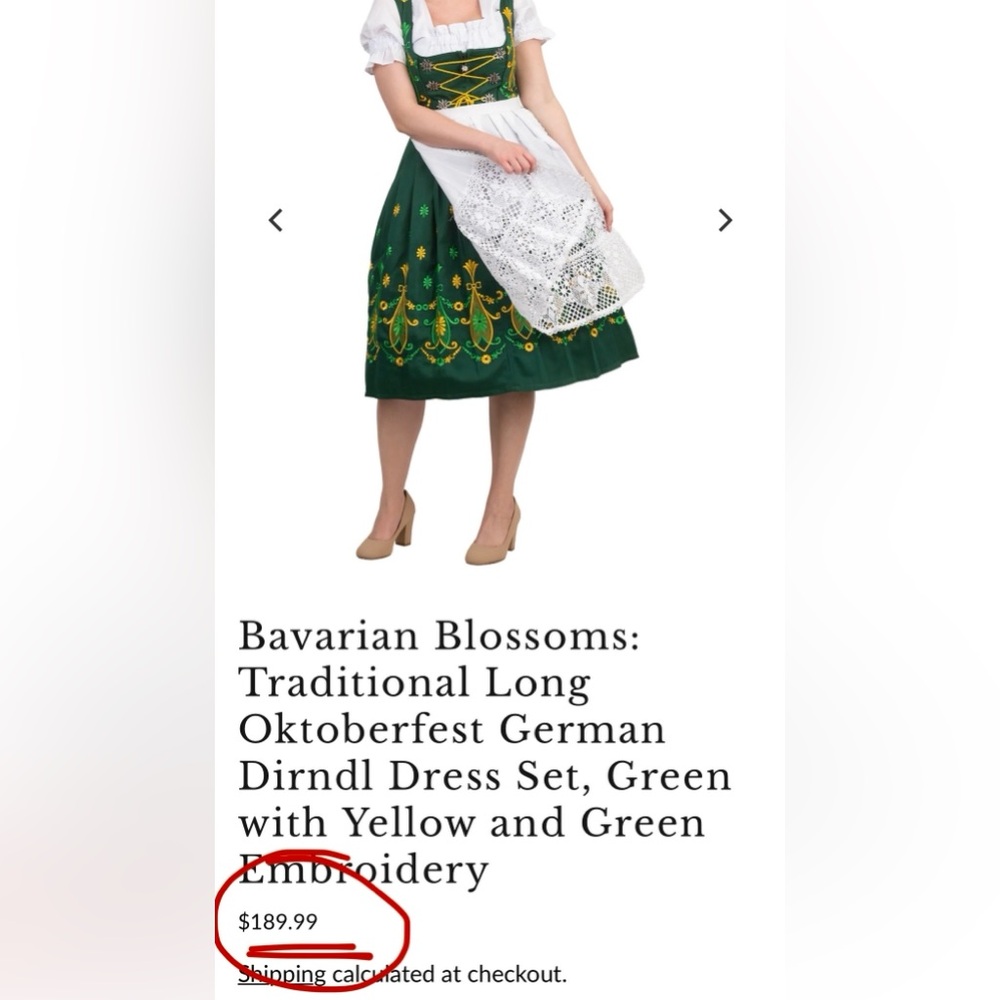Dirndl Dress - Picture 5 of 16